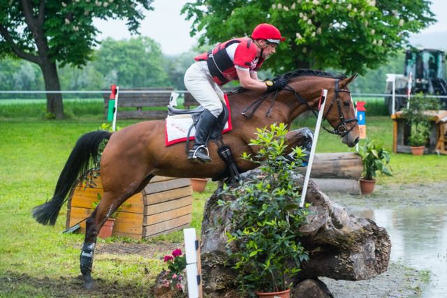 Harald Ambros gehört mit Tralee Mine zum österreichischen A-Kader der Vielseitigkeit. © Michael Graf
