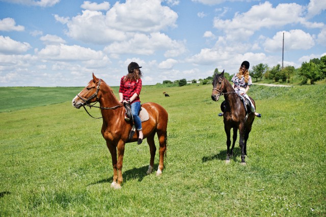 Ausritte von max. fünf Pferd-Reiter-Paaren sollen mit ausreichendem Sicherheitsabstand ab 1. Mai wieder gestattet sein. © Adobe Stock