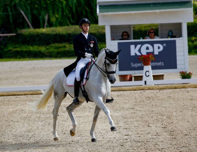 Das Junioren-Kürfinale kann kommen! Felix Artner und sein Westfale Sisley Santino scorten heute 70.500% und kamen auf Platz 15. © Petra Kerschbaum