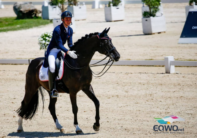 Paul Jöbstl und sein Coco Procol Harum lieferten heute das beste Ergebnis und steuerten zum Junioren Teamergebnis 70.970 % und Platz acht bei. © Petra Kerschbaum