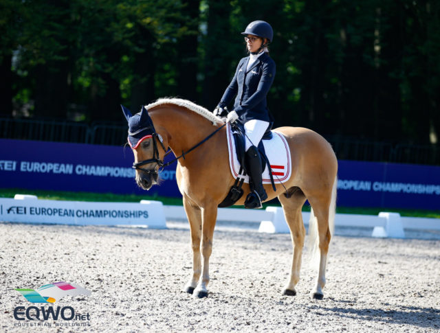 Österreichs EM-Debütanten Michaela Kuntner und ihr Haflinger Stockholm haben ihre Sache gut gemacht. © Petra Kerschbaum