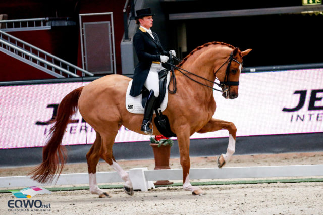 Isabell Werth gewinnt den Auftakt des CDI4* bei den Amadeus Horse Indoors 2019 im Sattel ihres Quintus. ©EQWO.net
