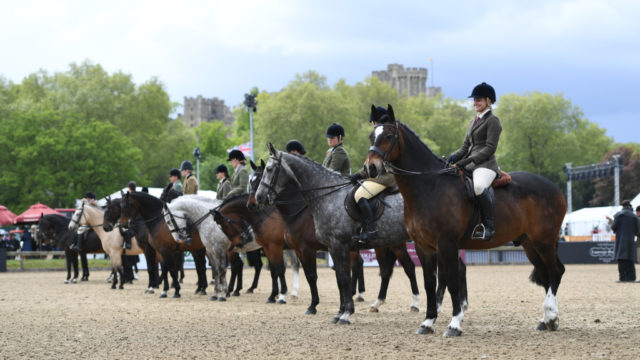 So wird die diesjährige Royal Windsor Horse Show nicht stattfinden. 2020 werden Teilnehmer und Aussteller sich virtuell präsentieren können. © Virtual Windsor 2020