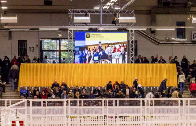 Die Niedersachsenhalle in Verden (GER), wo jedes Jahr die Hannoveraner-Körung stattfindet, wird heuer Veranstaltungsort der WM der jungen Dressurpferde sein. © Petra Kerschbaum