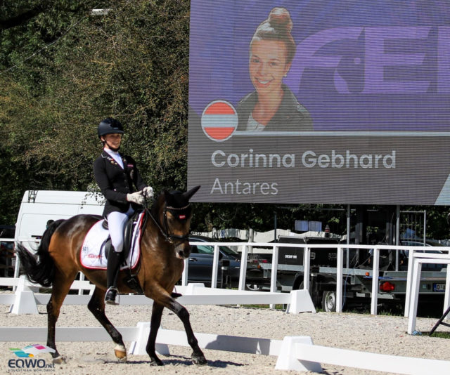 Corinna Gebhard (ST) und ihr 19-jähriger Lehrmeister Antares nehmen bereits zum .... Mal an Europameisterschaften in der Pony-Klasse teil. © Petra Kerschbaum