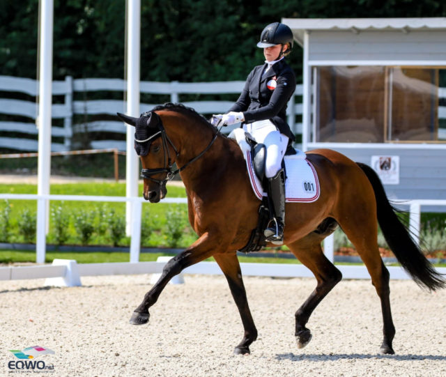 Österreichischer Sieg bei den Children: Beim CDI Budapest tanzten Lena Abfalterer (AUT/T) und Avatar mit 73,925% auf Rang eins! © Petra Kerschbaum