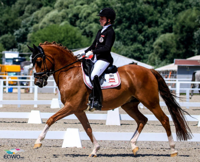 Ein Sieg, ein zweiter Platz: Chantre liefert unter Felicita Simoncic (W) top ab und räumte bei den Ponys beim CDI Budapest ab. © Petra Kerschbaum