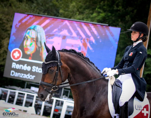 Die Junioren stellten bei der Europameisterschaft in Budapest (HUN) tolle Pferde vor, wie den Hannoveraner-Prämienhengst Danzador unter der Schweizerin Renée Stadler (SUI)! © Petra Kerschbaum