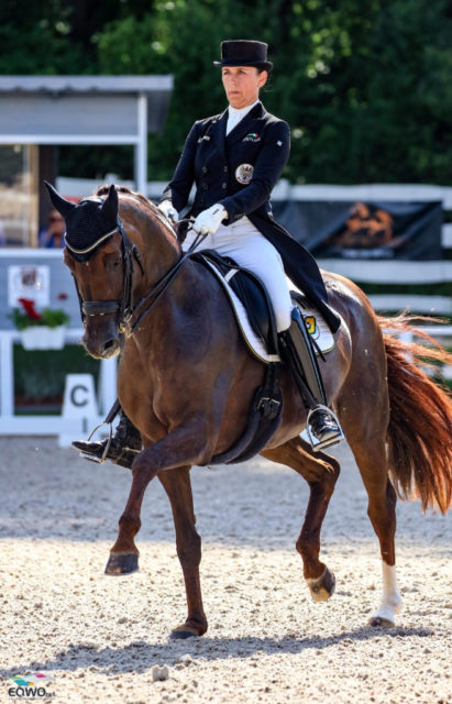Belinda Weinbauer zeigte in Budapest mit beiden Stuten top Leistungen! Fräulein Auguste tanzt im Weltcup-GP zu Platz vier mit 68,413%! © Petra Kerschbaum
