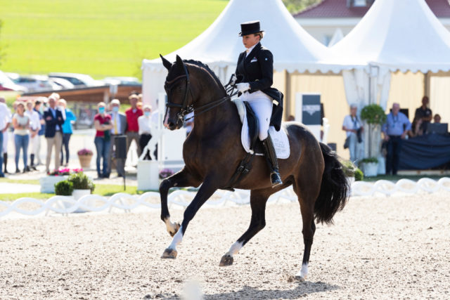 Die Deutsche Meisterschafts-Premiere ist für Dorothee Schneider's (GER Nachwuchspferd Faustus mehr als gelungen! Gleich zweimal konnte das Paar in Balve (GER) Bronze holen. © Thomas Hellmann