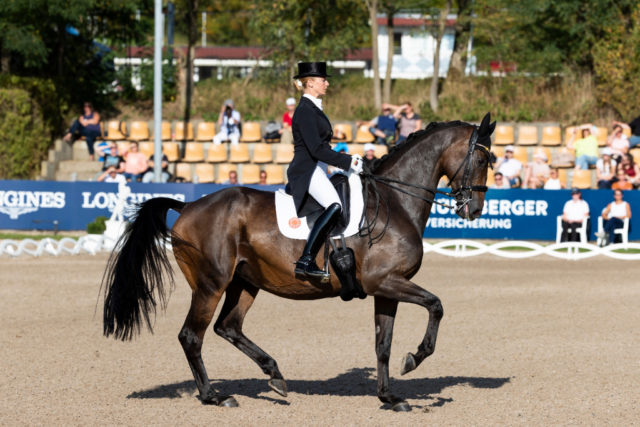 TSF Dalera BB tanzte mit einer unglaublichen Leichtigkeit zu ihrem Meisterschaftstitel im Grand Prix Special in Balve (GER)! Reiterin Jessica von Bredow-Werndl erfüllte sich mit dem ersten Titel im Seniorenlager einen Herzenswunsch. © Thomas Hellmann