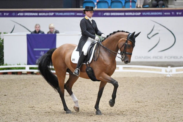 Isabell Werth (GER) und Emilio mussten sich geschlagen geben. Im Grand Prix lagen sie noch knappe sechs (!) Prozent hinter dem dänschen Paar Dufour & Boheminan, in der Musikkür, war es nur noch ein knappes halbes Prozent.© Ridehesten.com