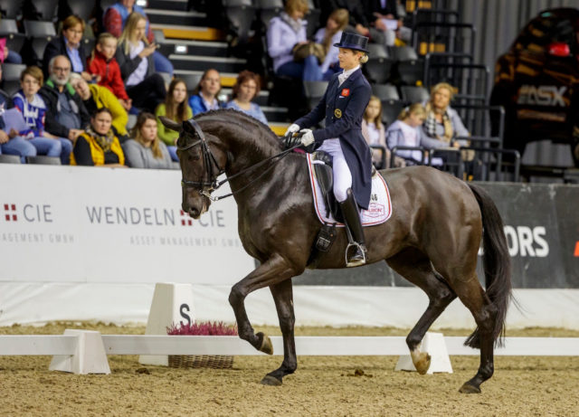 Heuer sind es deutlich weniger Zuseher, der Agravis-Cup findet knapp vor Start des zweiten Lockdown in Deutschland statt. Am Foto: Laura Tomlinson (GBR) und Rose of Bavaria in Oldenburg 2019. © Stefan Lafrentz