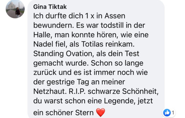 Totilas-Fans: weltweites Gedenken via Social Media.