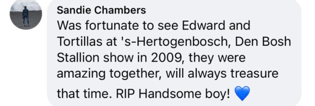 Totilas-Fans: weltweites Gedenken via Social Media.