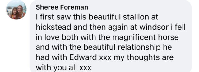 Totilas-Fans: weltweites Gedenken via Social Media.