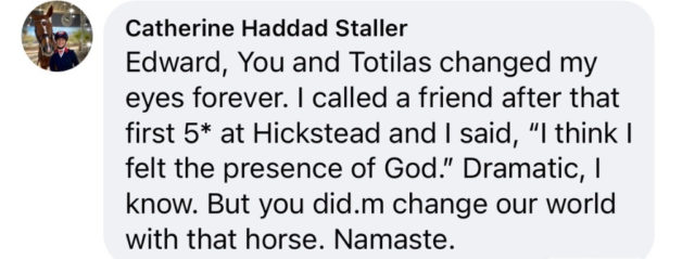 Totilas-Fans: weltweites Gedenken via Social Media.