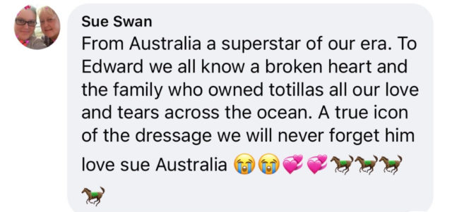 Totilas-Fans: weltweites Gedenken via Social Media.